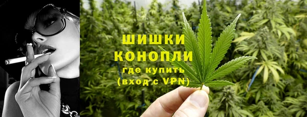 PSILOCYBIN Аркадак